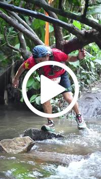 BIB:  <button type="button" onclick="openModal(27808954)" class="btn btn-primary btn-sm float-right" data-toggle="modal" data-target=".modal-high-quality">
                <i class="fa fa-download"></i> Download
                </button>